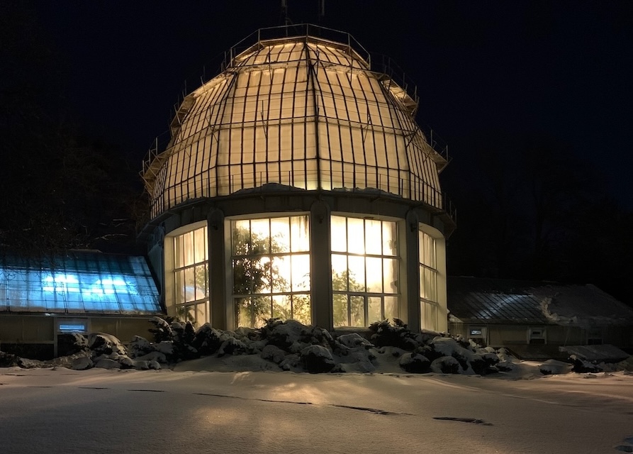 The light of a green house casting a magical glow in a dark and snow lanscape