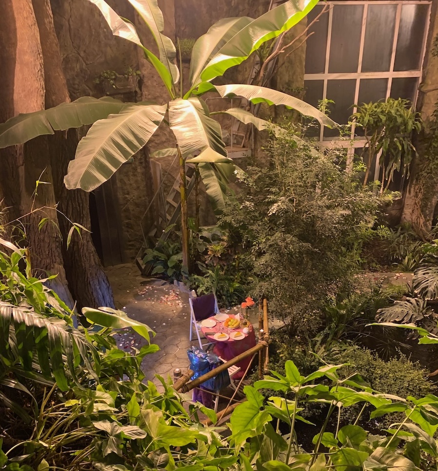 A table set for two inside a tropical greenhouse